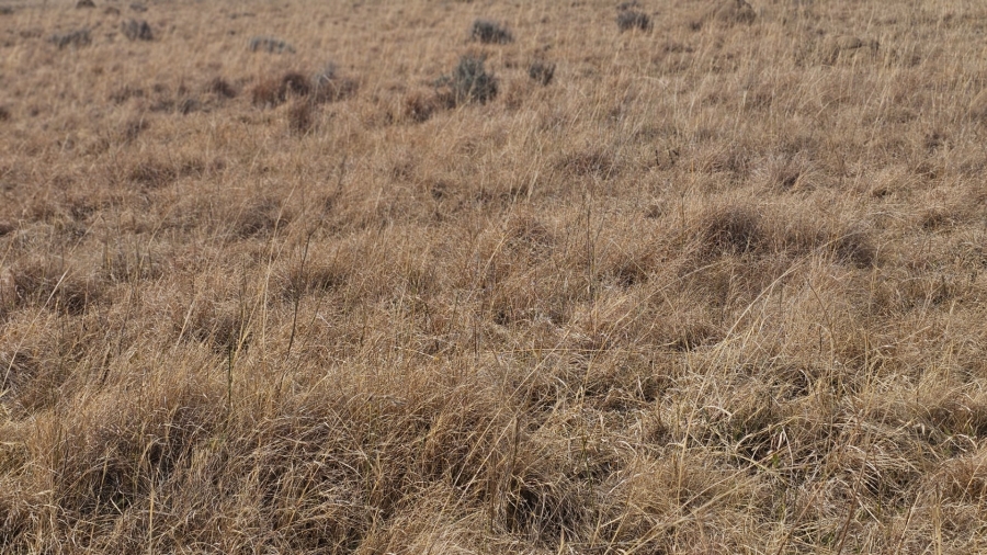 Commercial Property for Sale in Hobhouse Rural Free State